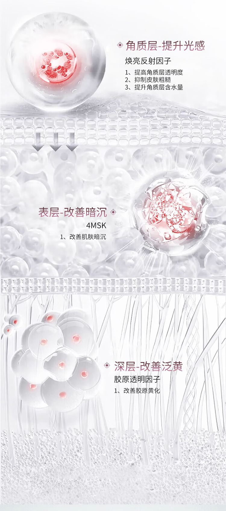 整体详情页_02.jpg